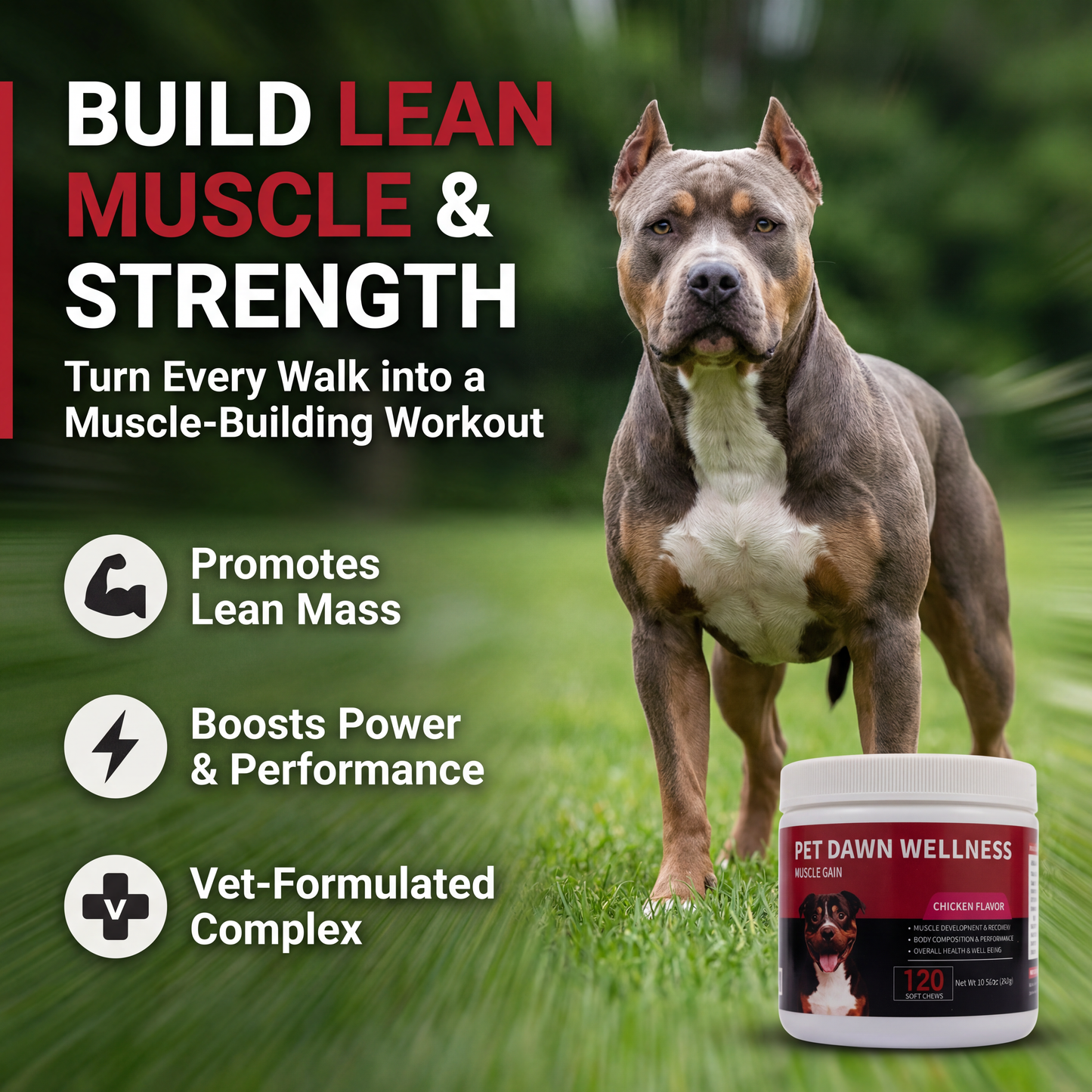 PET DAWN WELLNESS creatine Soft Chews for Dogs