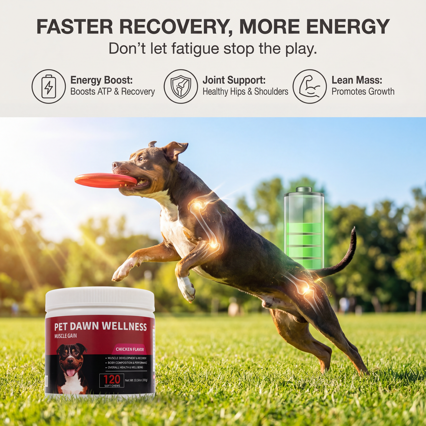 PET DAWN WELLNESS creatine Soft Chews for Dogs